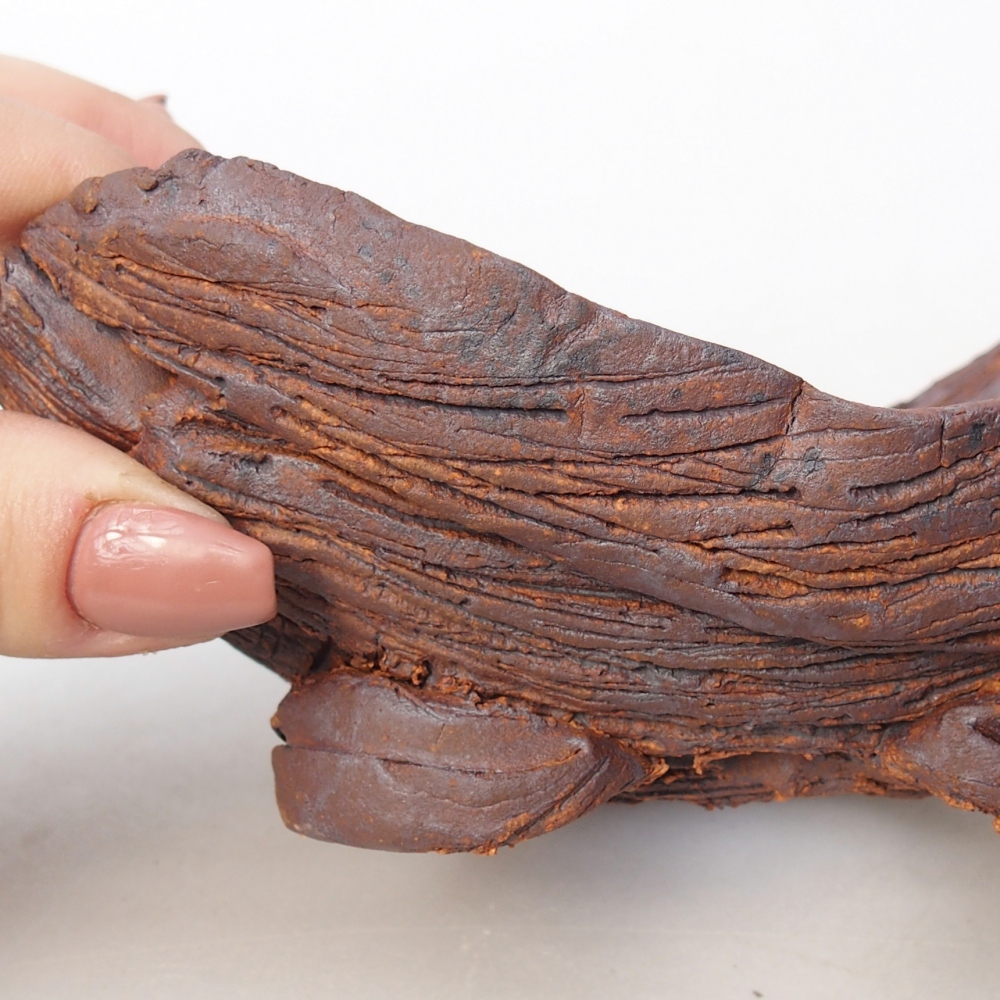 Ceramic Shell 16 x 10,5 x 8,5 cm , colour brown