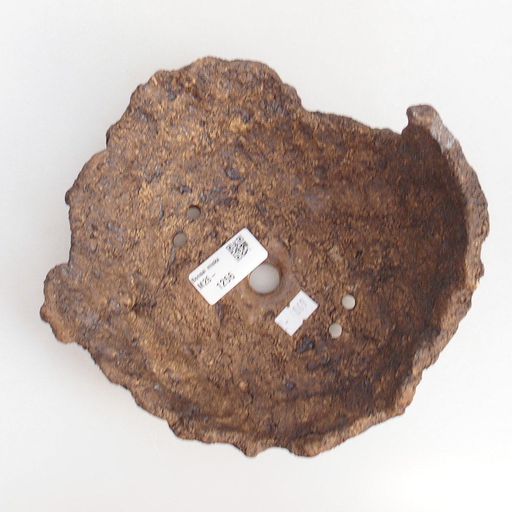 Ceramic shell 19 x 15 x 14 cm , colour brown