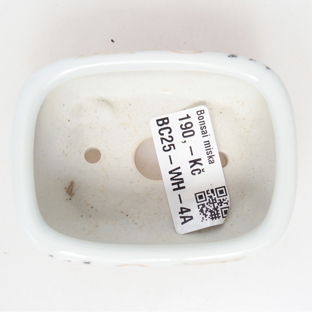 Mini bonsai bowl 8 x 6 x 3 cm, white