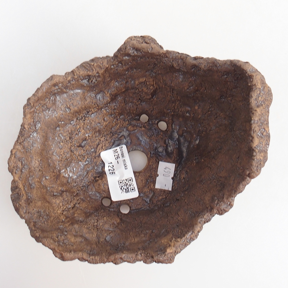 Ceramic shell 14 x 12 x 13 cm , colour brown