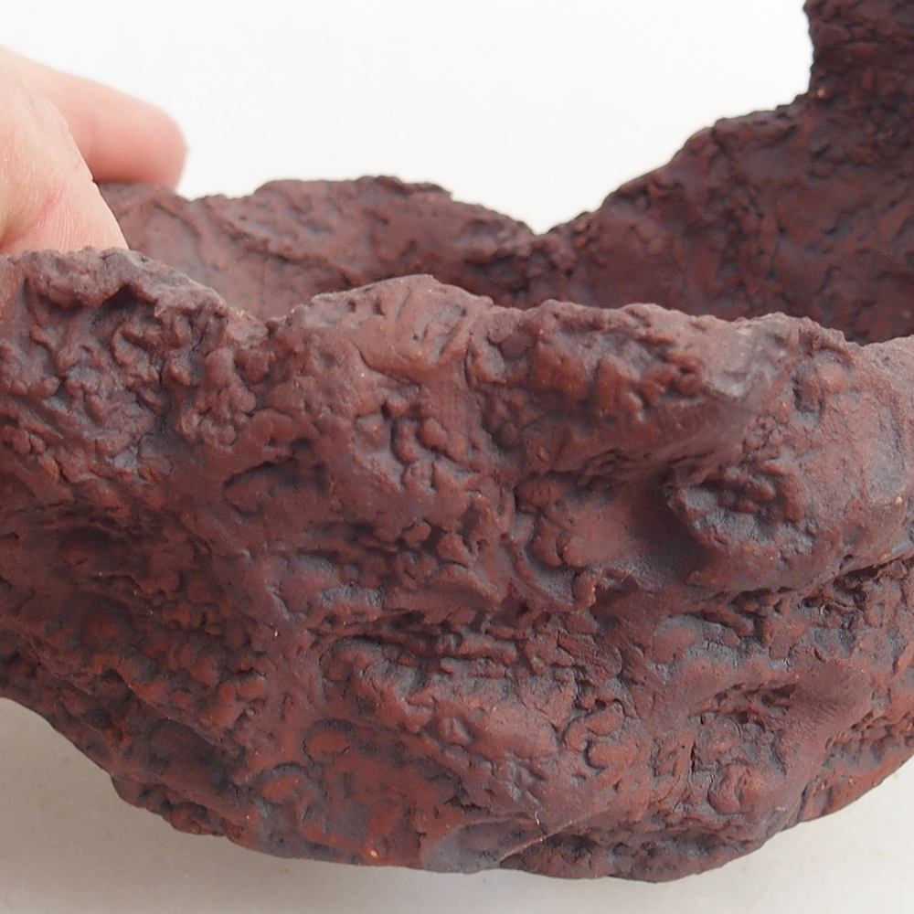 Ceramic Shell 10 x 8 x 8,5 cm , colour brown