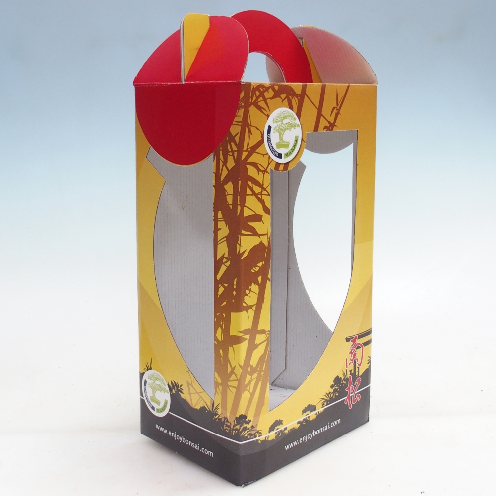 Gift bonsai box - paper