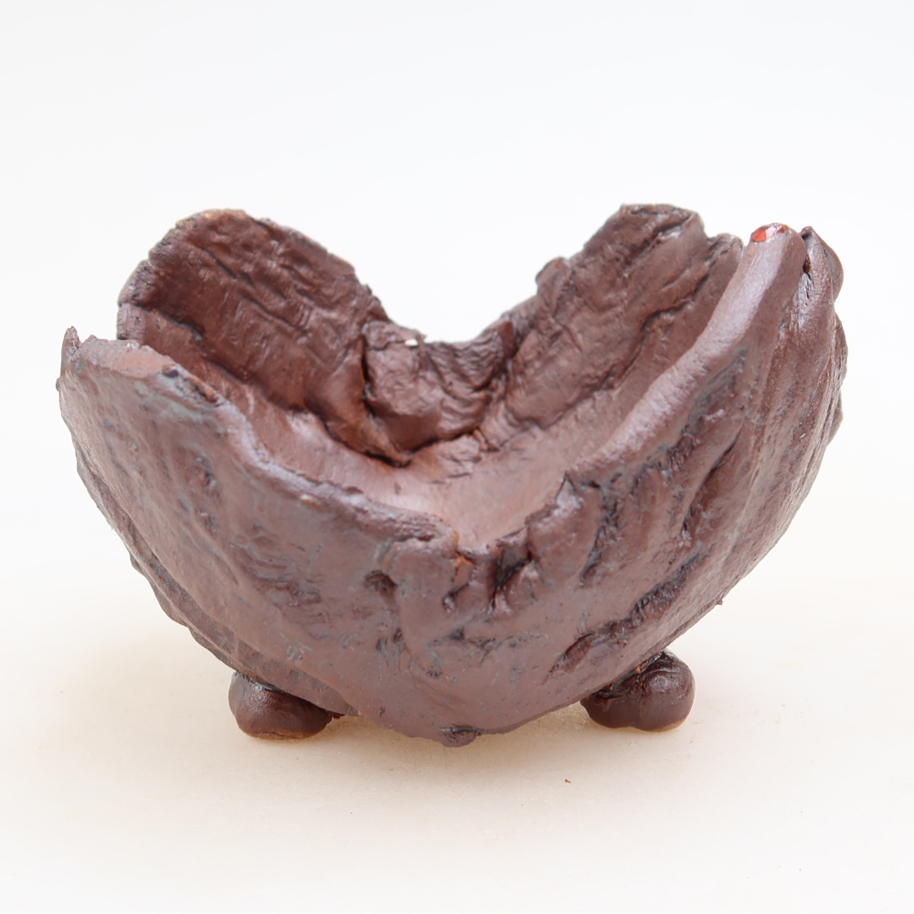 Ceramic Shell  10 x 9.5 x 6.5 cm, metallic color
