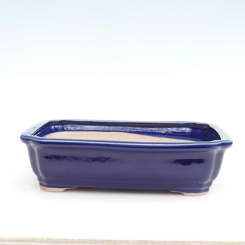 Bonsai bowl H20 - 26,5 x 21,5 x 6,5 cm. - blue