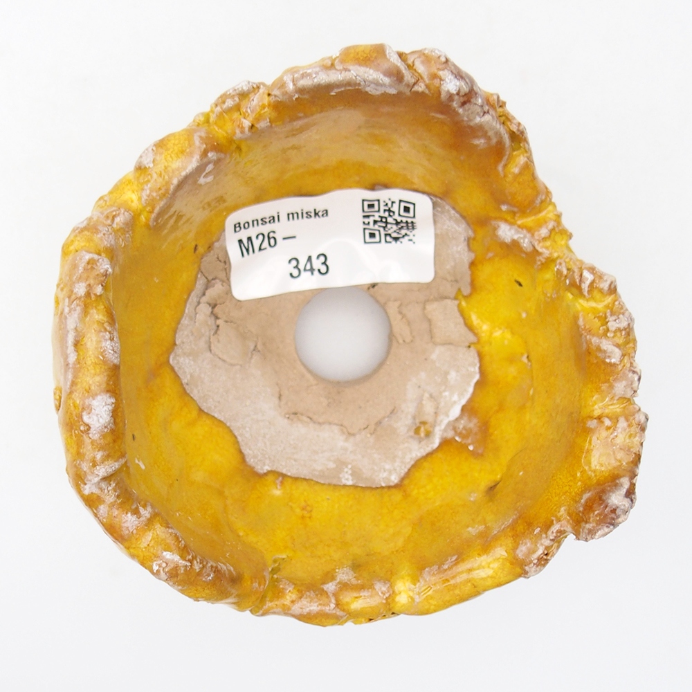 Ceramic Shell 9 x 9 x 6 cm , yellow