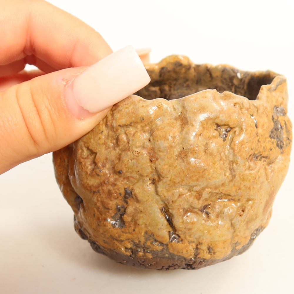 Ceramic Shell  7 x 6.5 x 6.5 cm, brown