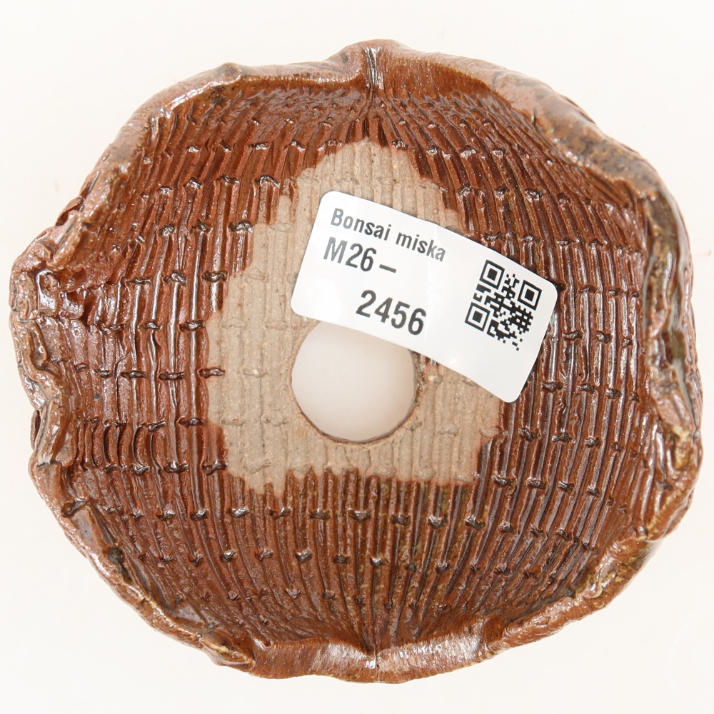 Ceramic Shell, 9 x 8.5 x 7 cm, brown
