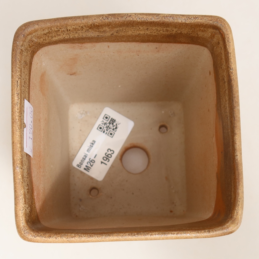 Ceramic bonsai pot, 9 x 9 x 11 cm, beige