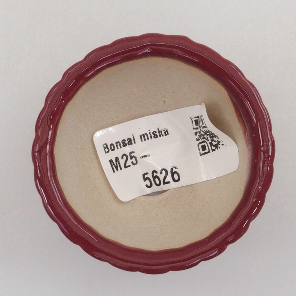 Mini bonsai bowl 5 x 5 x 2,5 cm, color burgundy