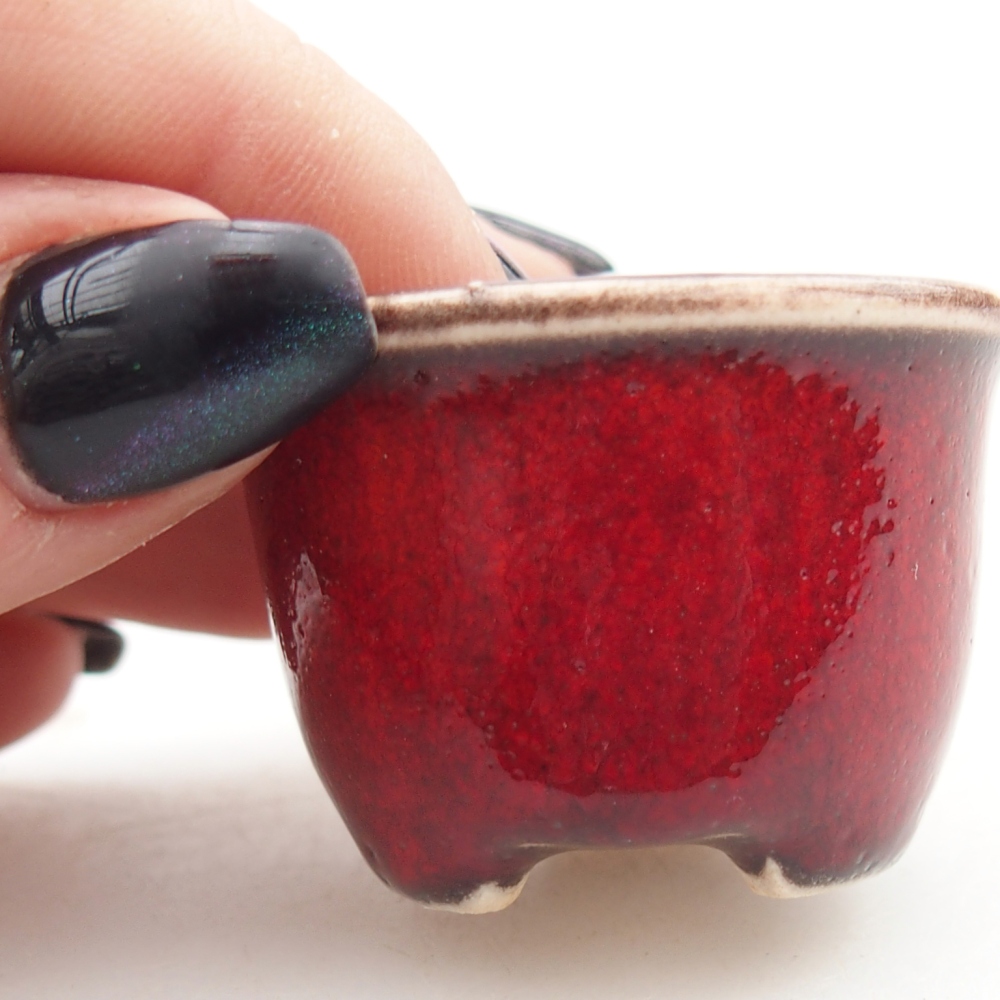 Mini bonsai bowl 4 x 4 x 2,5 cm, colour red