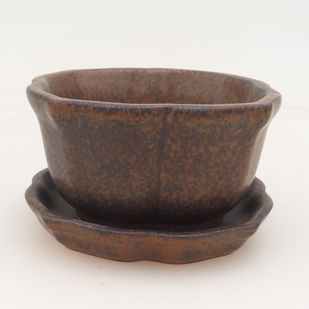 Bonsai bowl + saucer H95 - brown