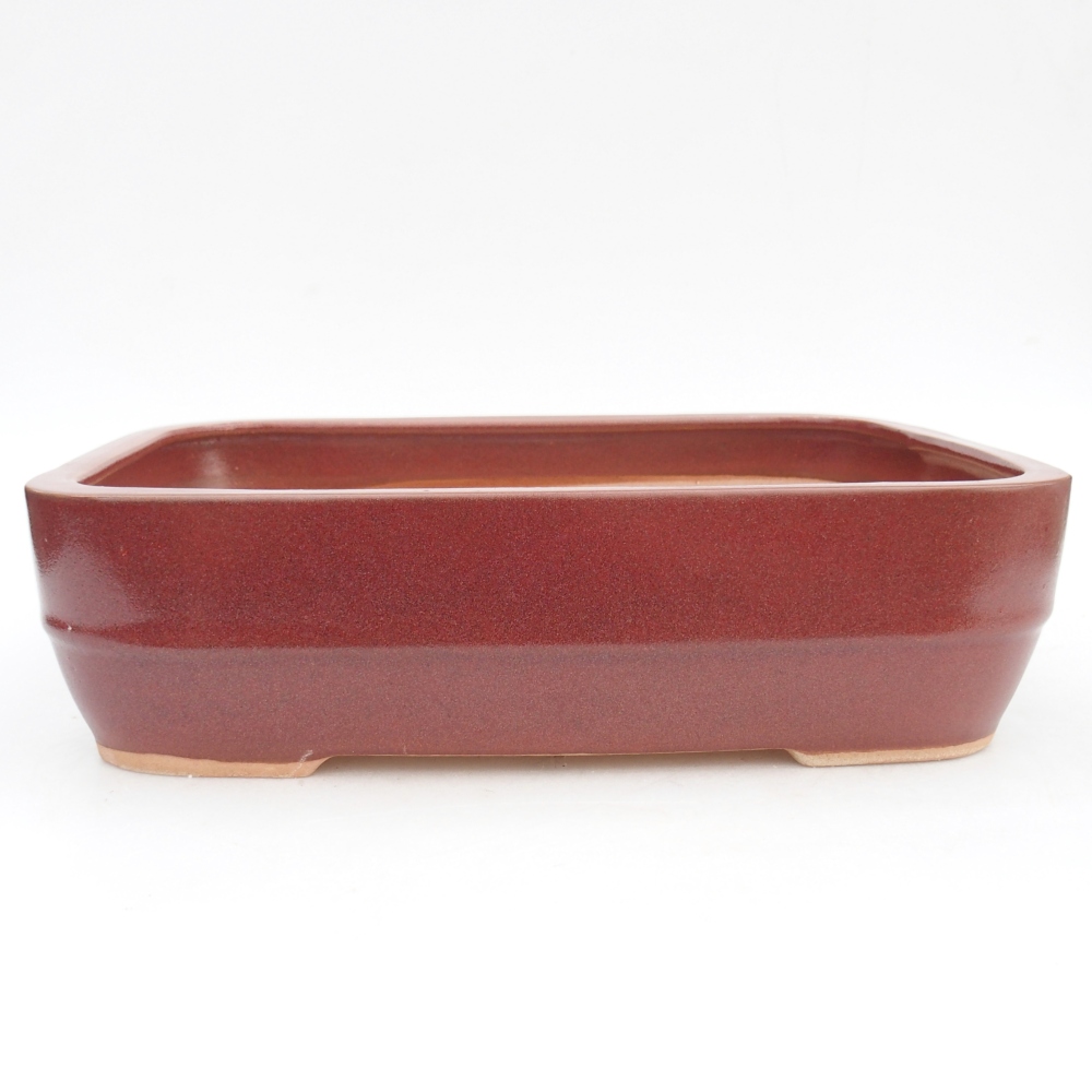 Ceramic bonsai bowl 28 x 20,5 x 7,5 cm, burgundy