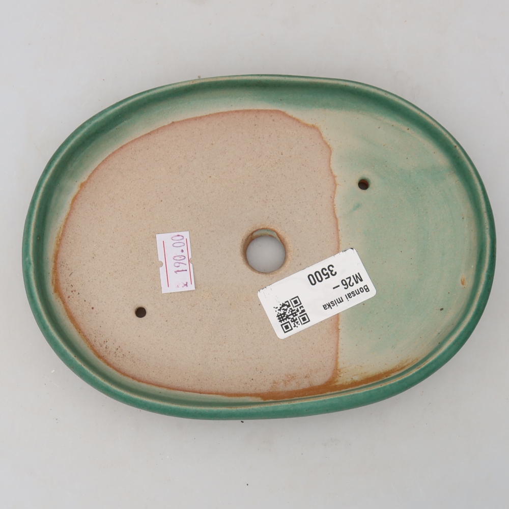 Ceramic bonsai pot, 17 x 12 x 2.5 cm, green