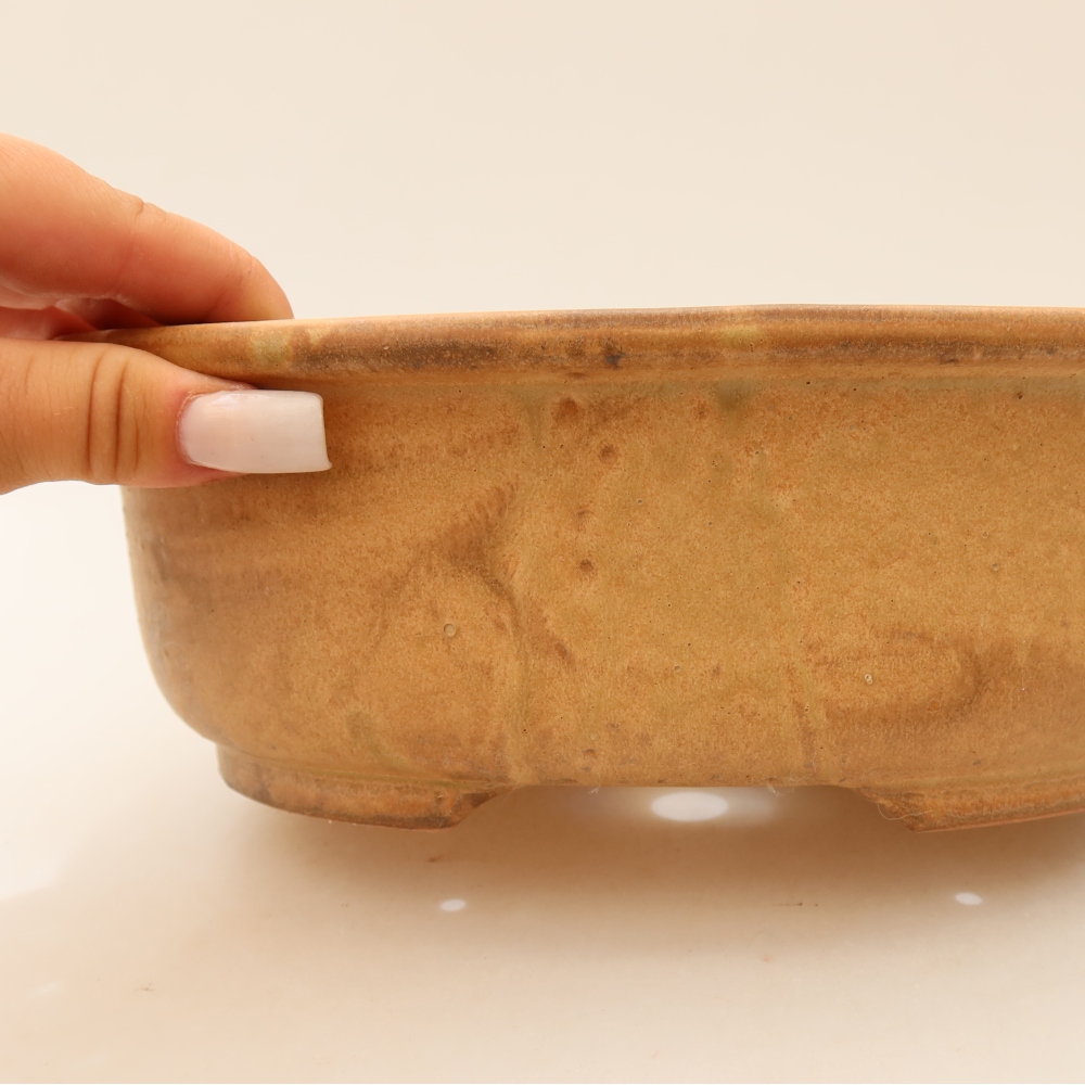 Ceramic bonsai pot, 23 x 19 x 8 cm, beige