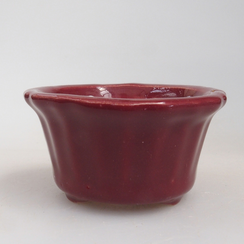 Mini bonsai bowl 5 x 5 x 2,5 cm, color burgundy