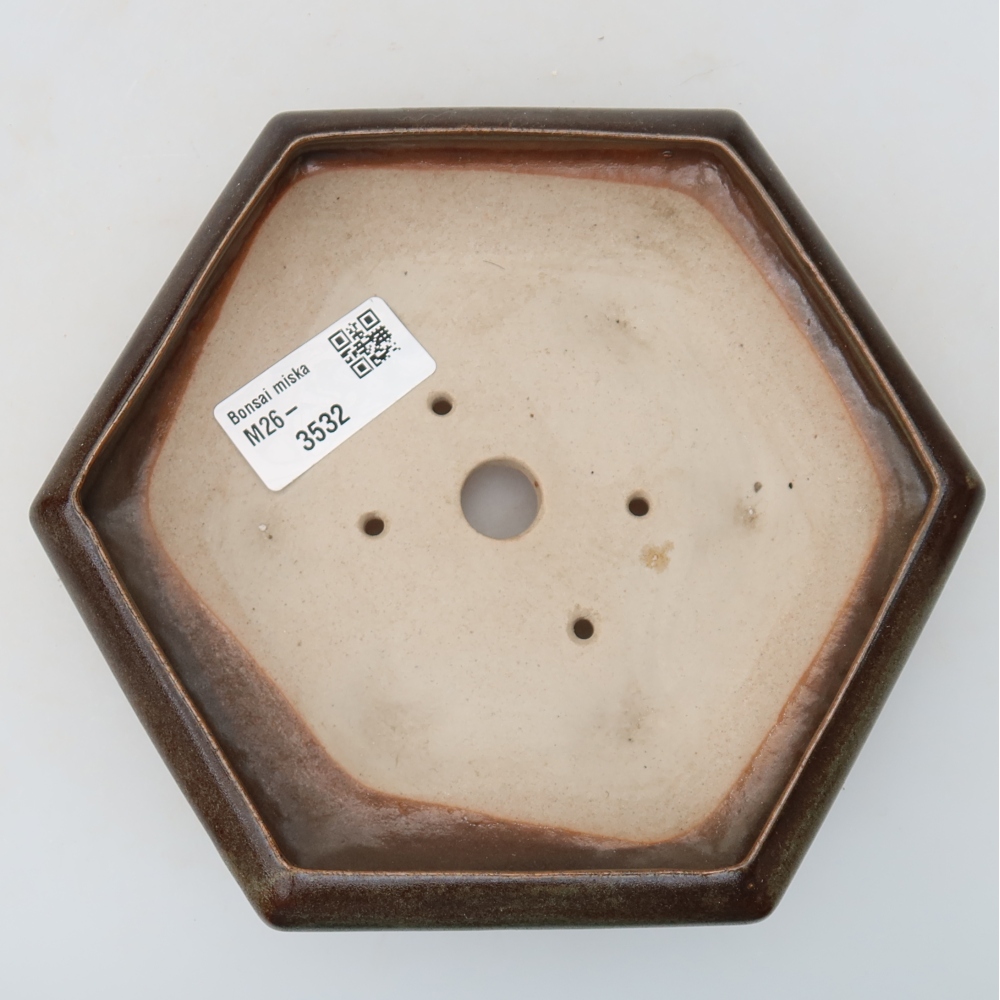 Ceramic bonsai pot, 17 x 15 x 4 cm, brown