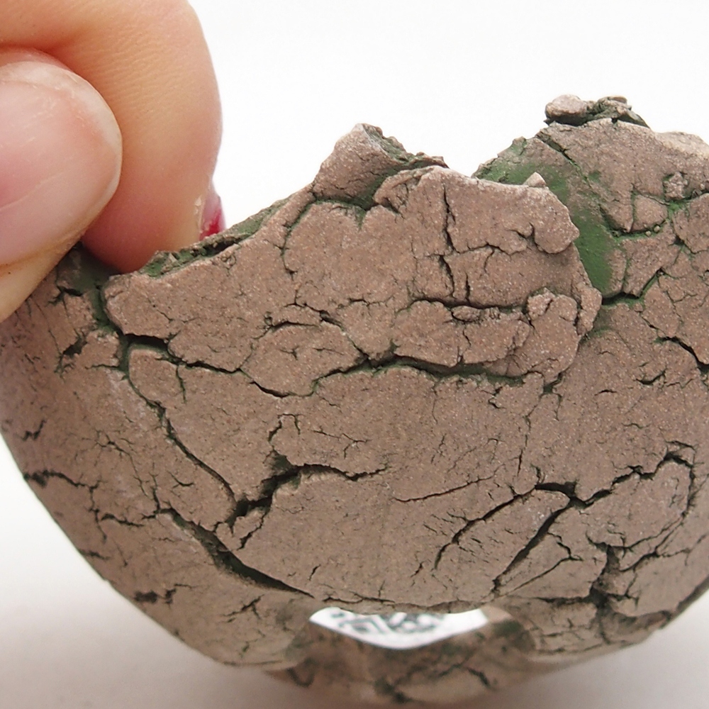 Ceramic Shell 7 x 7 x 4 cm , colour green