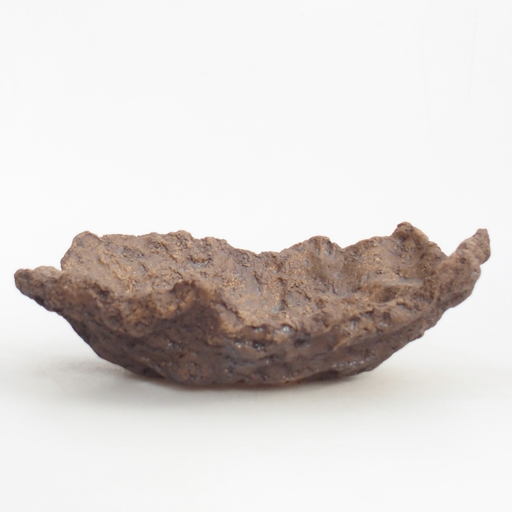 Ceramic shell 19 x 15 x 14 cm , colour brown