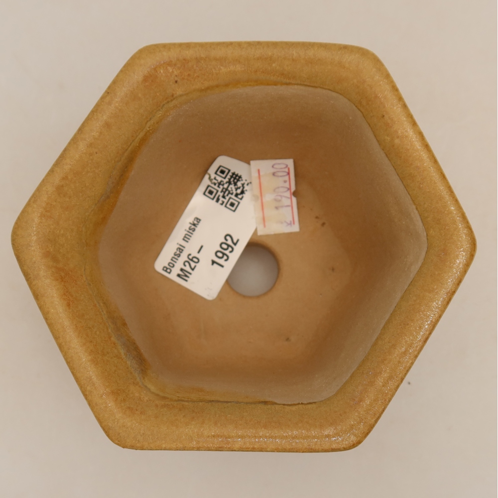 Ceramic bonsai pot, 10.5 x 9.5 x 5.5 cm, beige