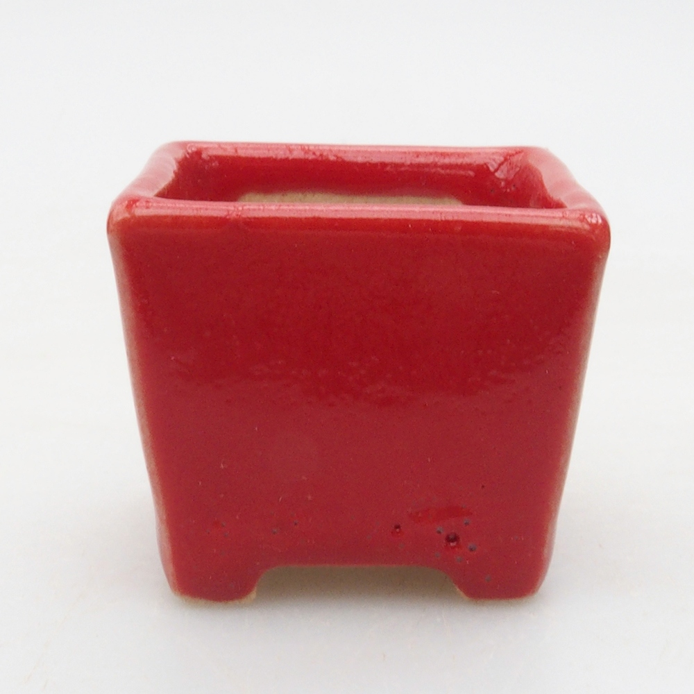 Mini bonsai bowl  3,5 x 3,5 x 3 cm, color red