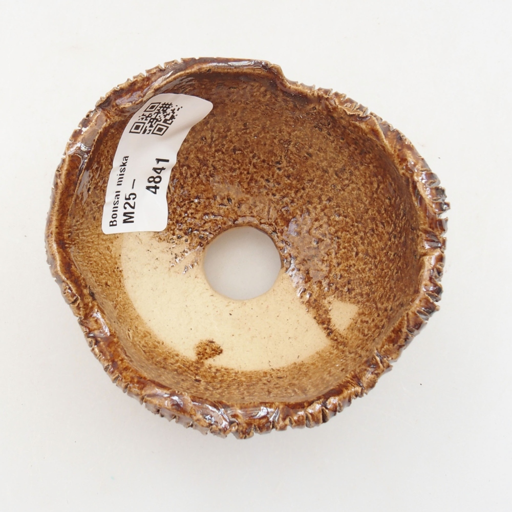 Ceramic shell 8 x 7,5 x 6 cm, color brown
