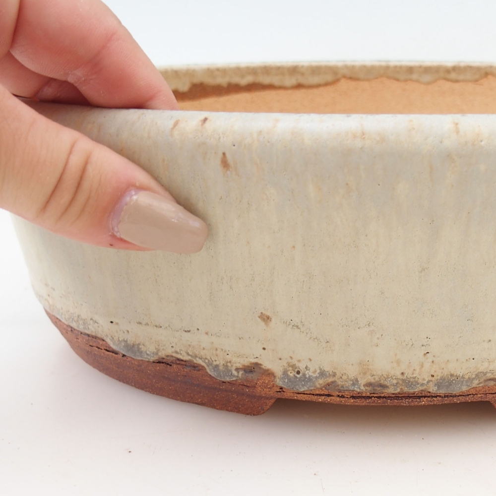 Bonsai bowl 24 x 19 x 8 cm , colour beige