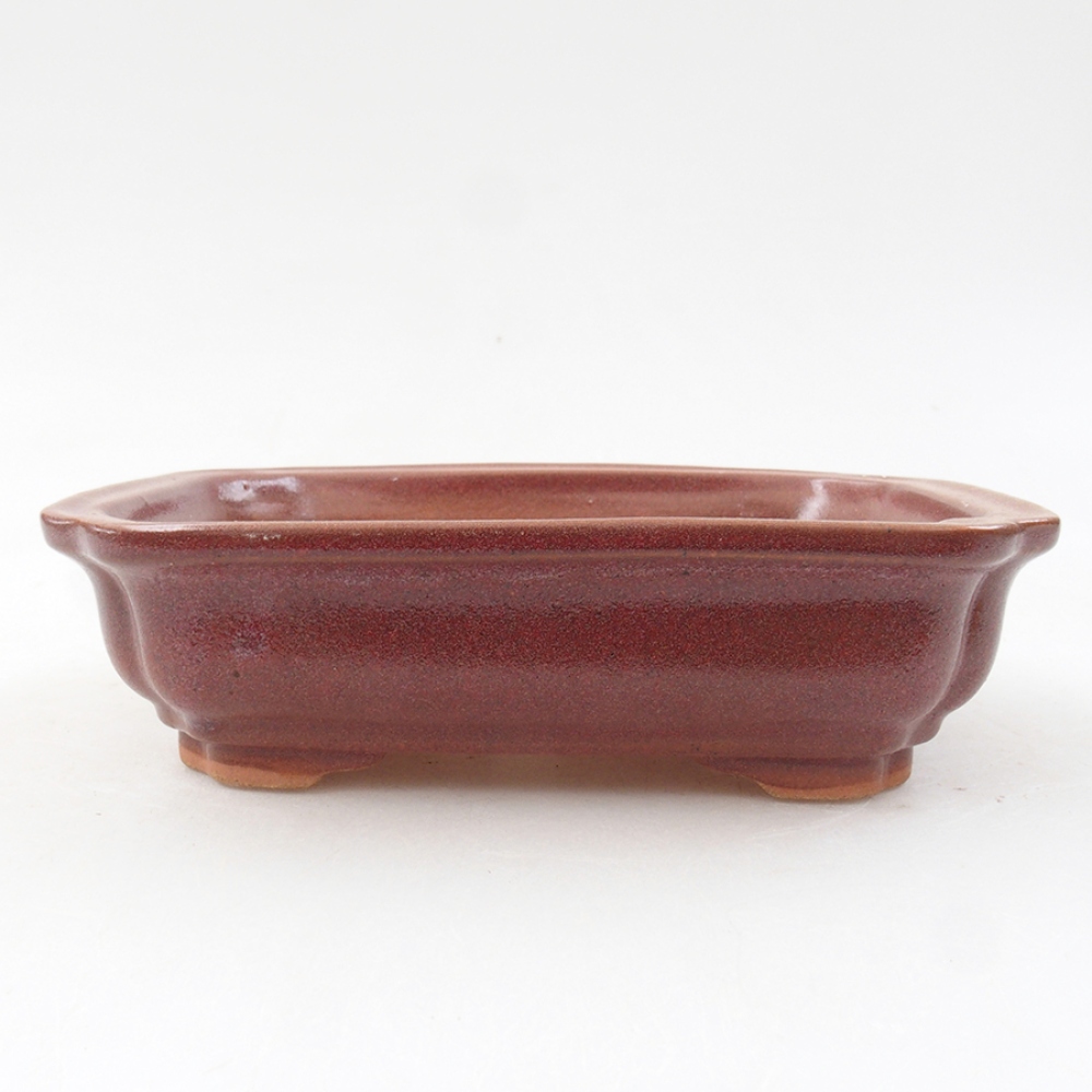 Ceramic bonsai bowl 14 x 11 x 4 cm, color burgundy