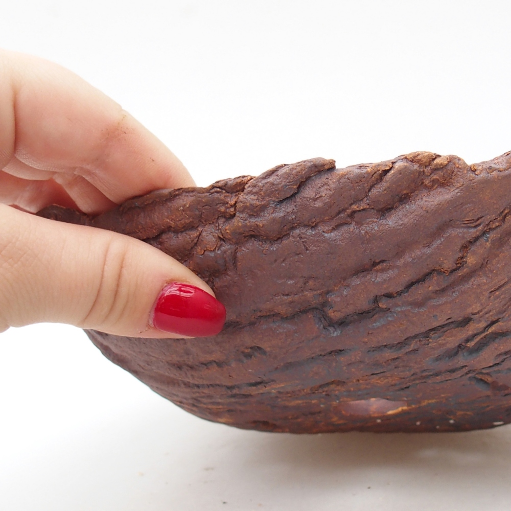 Ceramic shell 20 x 15 x 6 cm , colour brown