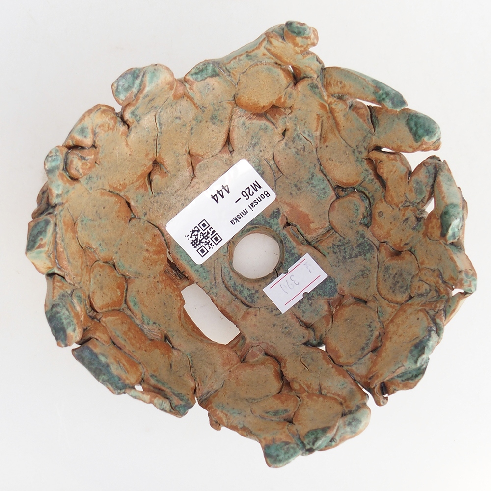 Ceramic shell 14 x 14 x 6,5 cm , colour green