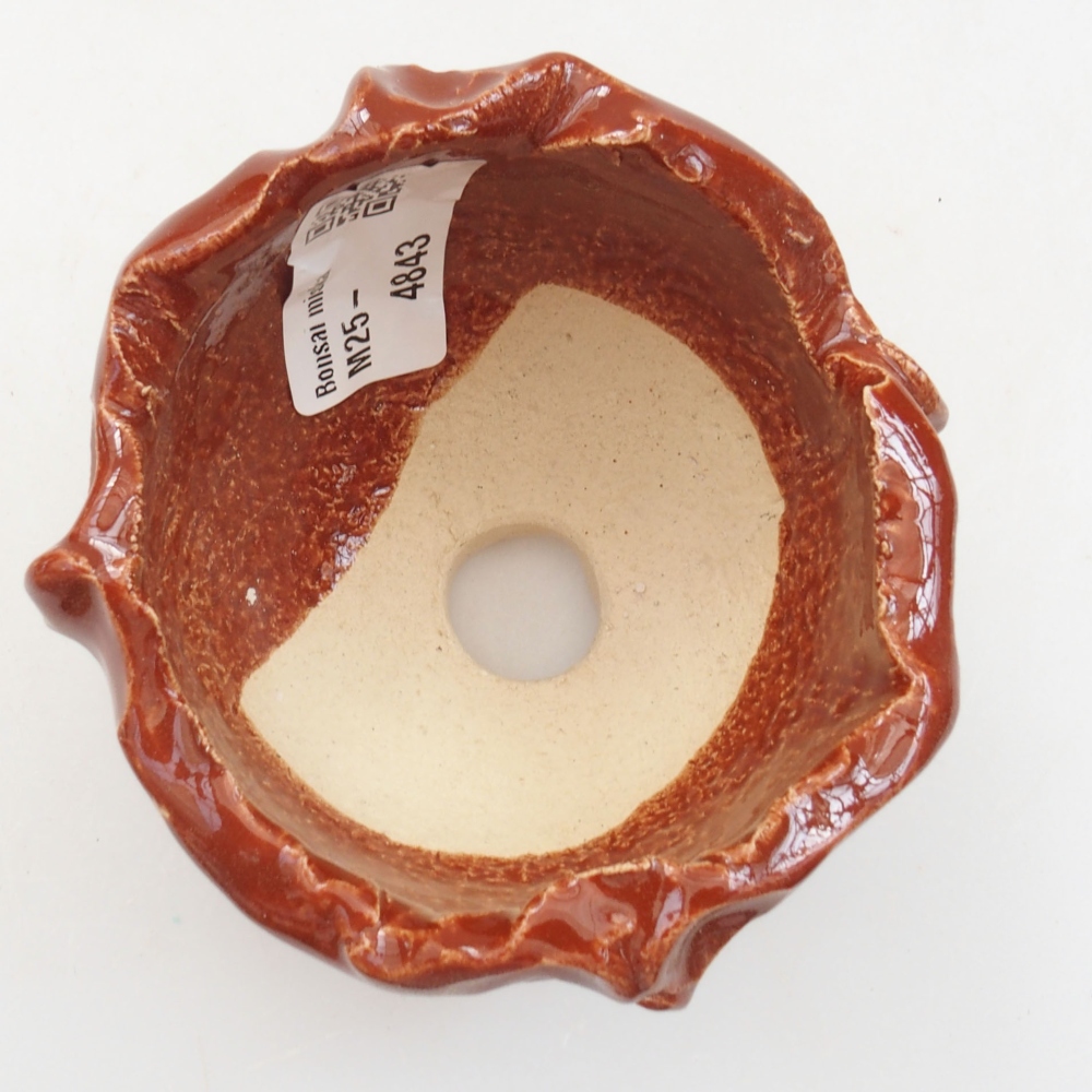 Ceramic shell 7 x 7 x 6,5 cm, color brown