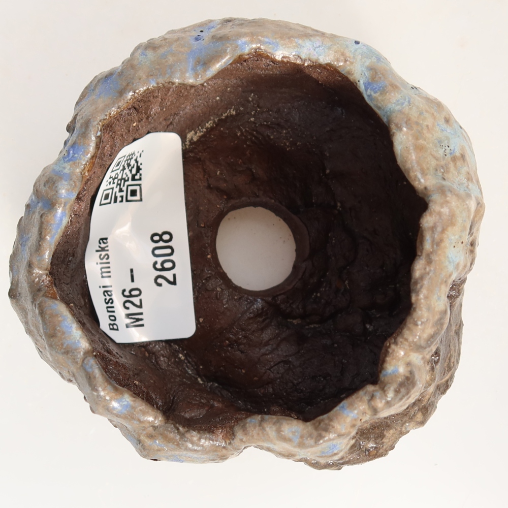 Ceramic Shell, 7 x 7 x 5 cm, blue-brown