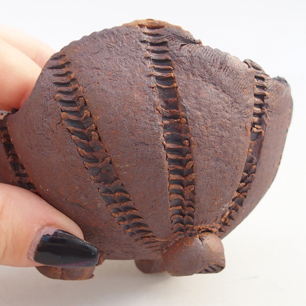 Ceramic Shell 9 x 9 x 7 cm , colour brown