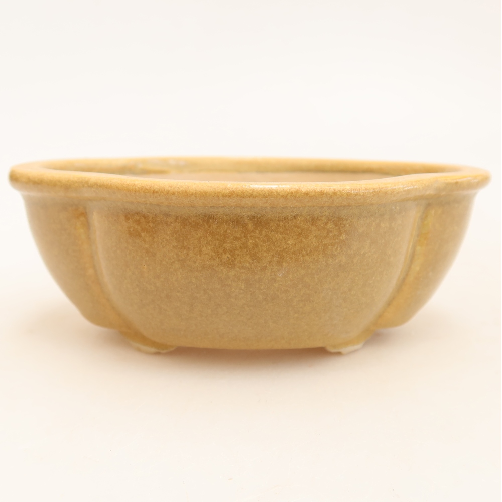 Ceramic bonsai pot, 12.5 x 10.5 x 4.5 cm, beige