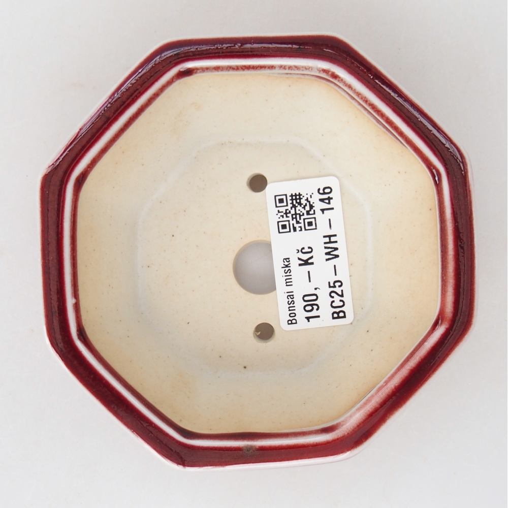 Mini bonsai bowl 11 x 10 x 3,5 cm, colour red