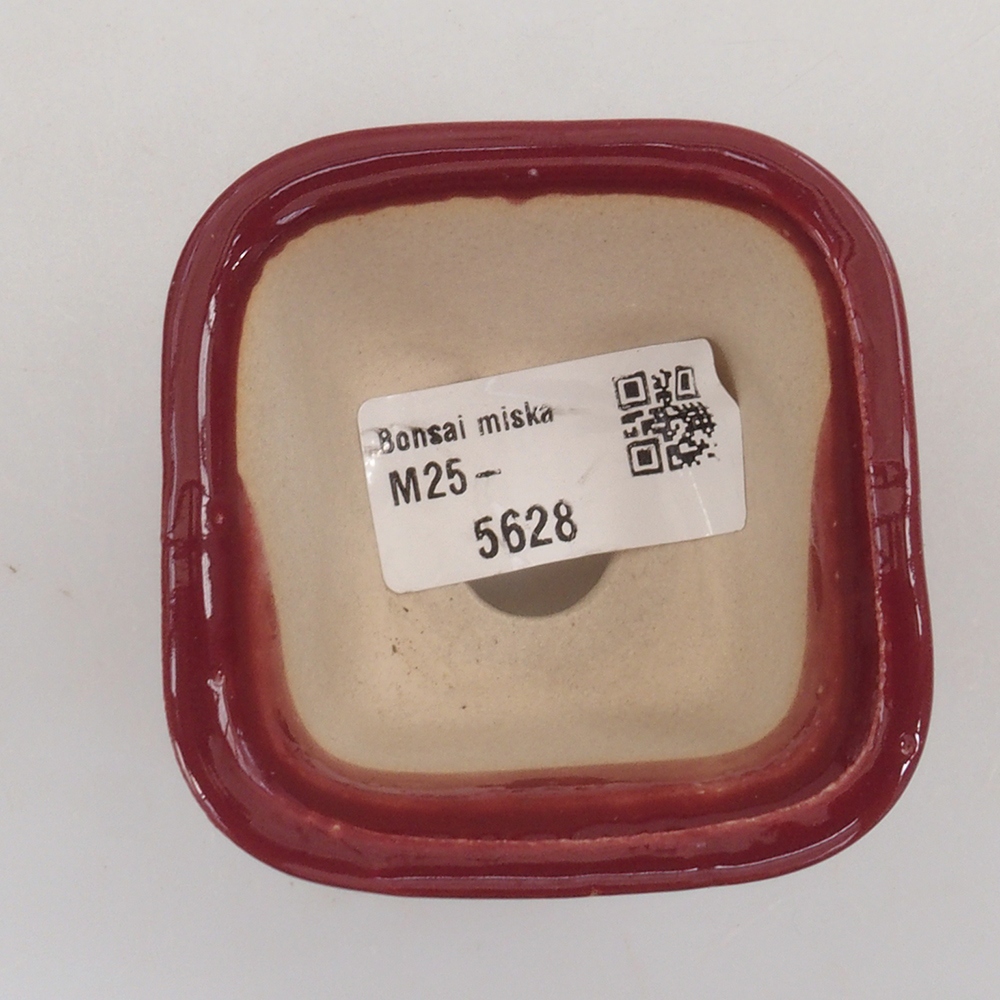 Mini bonsai bowl 6 x 6 x 4,5 cm, color burgundy