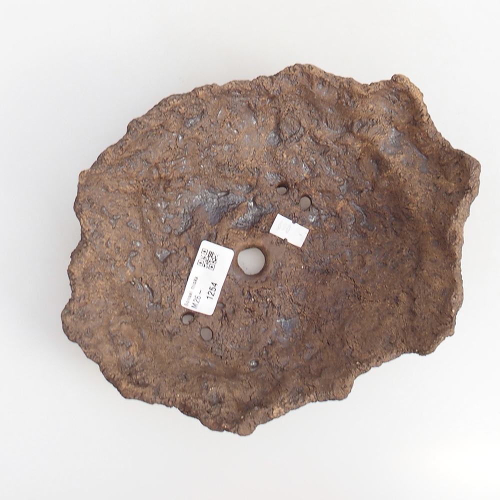 Ceramic shell 19 x 15 x 14 cm , colour brown