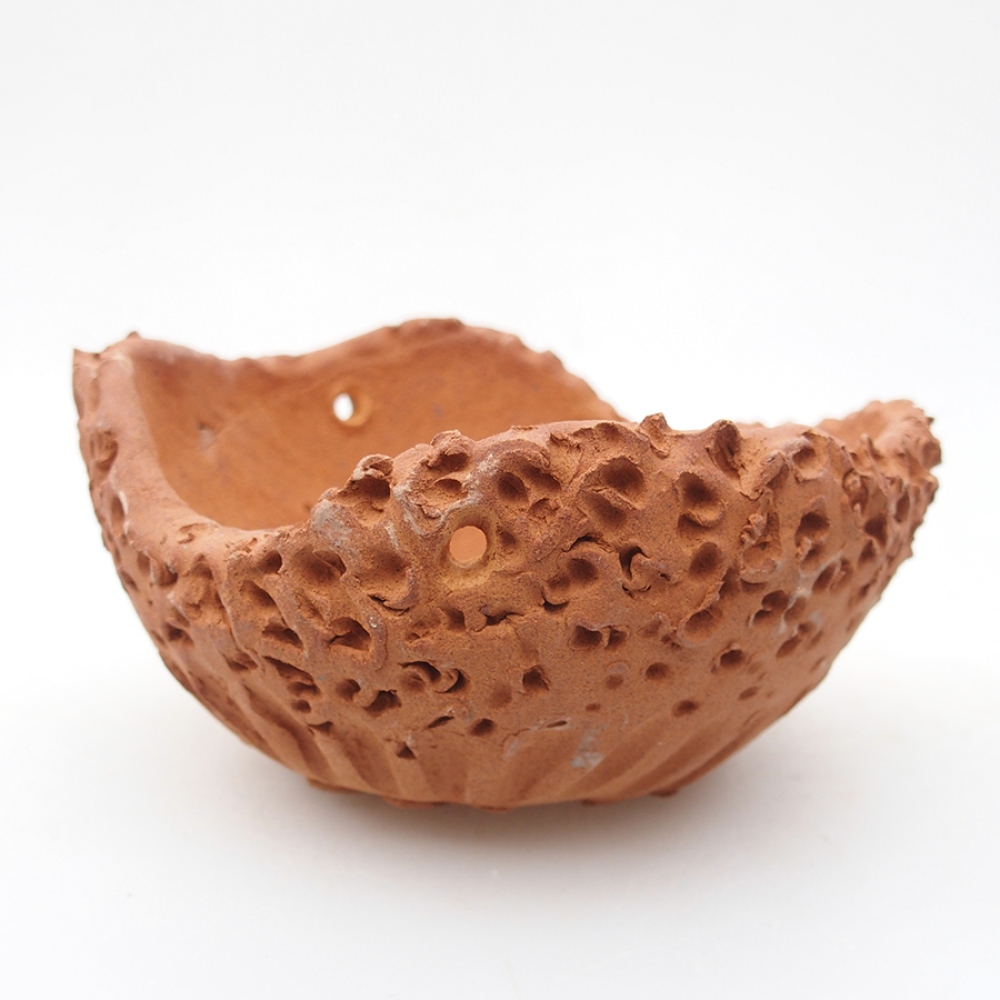 Ceramic Shell 13 x 14 x 7 cm, color: red