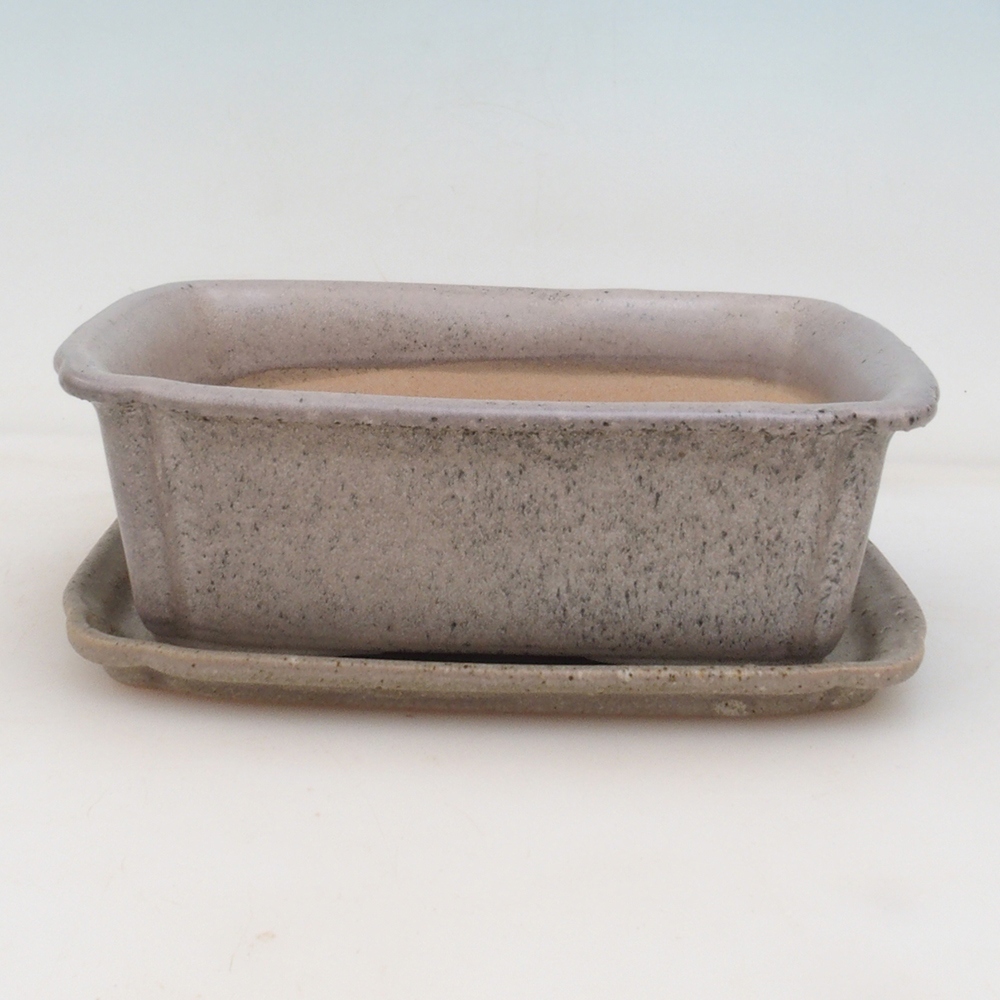 Bonsai bowl + bowl H50
