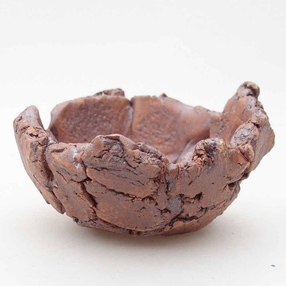 Ceramic Shell 9 x 9 x 5,5 cm , colour brown