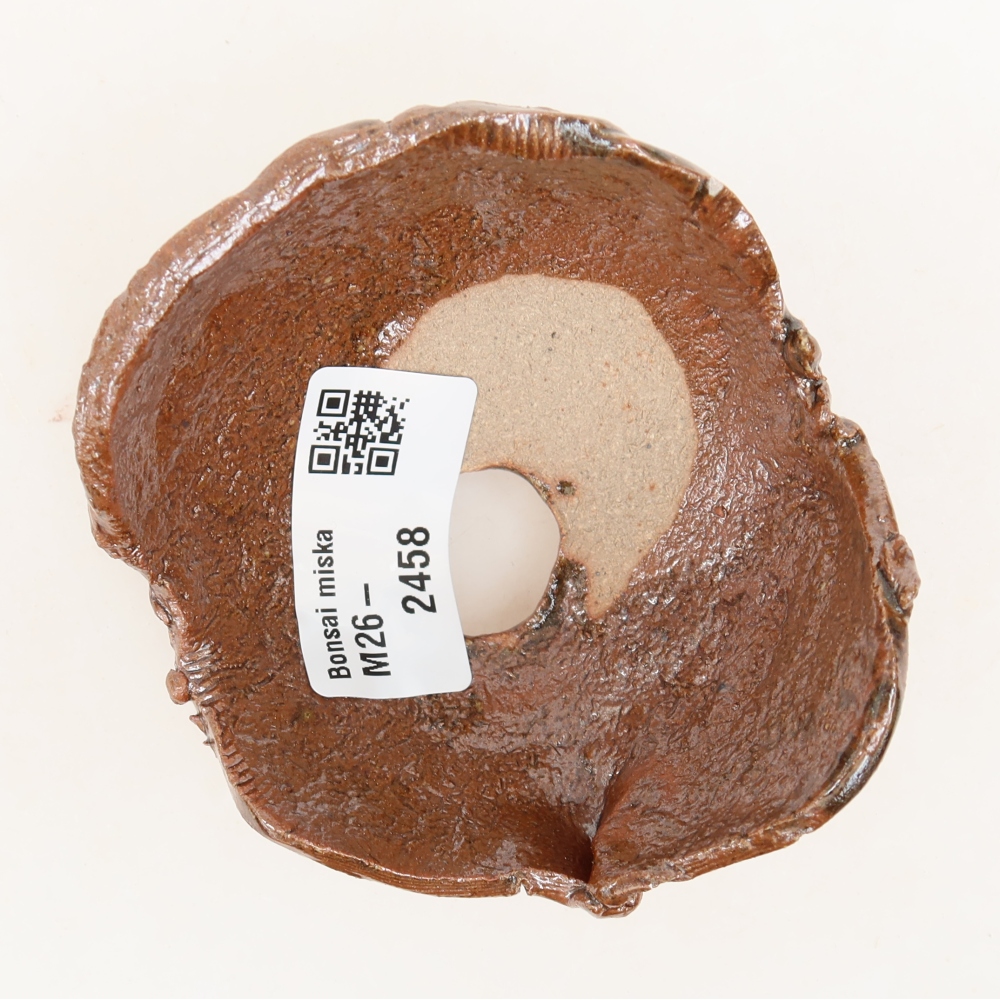 Ceramic Shell, 8 x 8 x 5 cm, brown