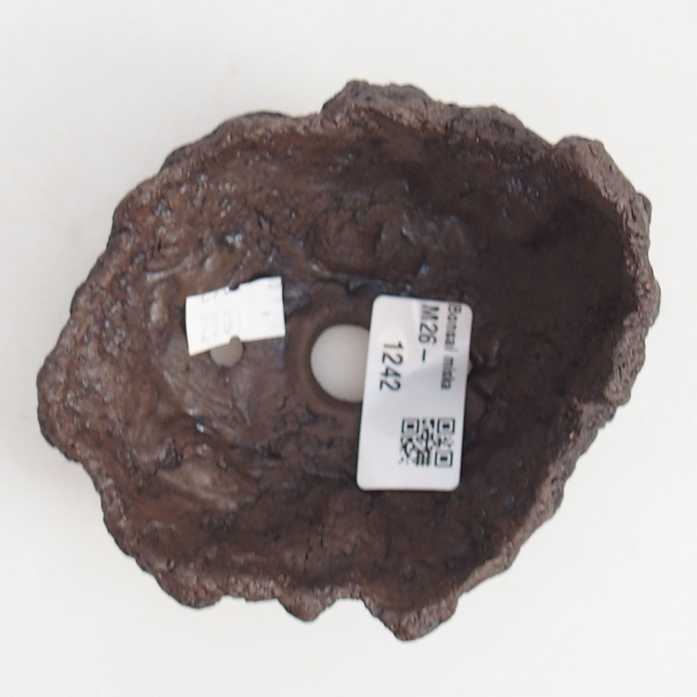 Ceramic Shell 10 x 9 x 7,5 cm , colour brown