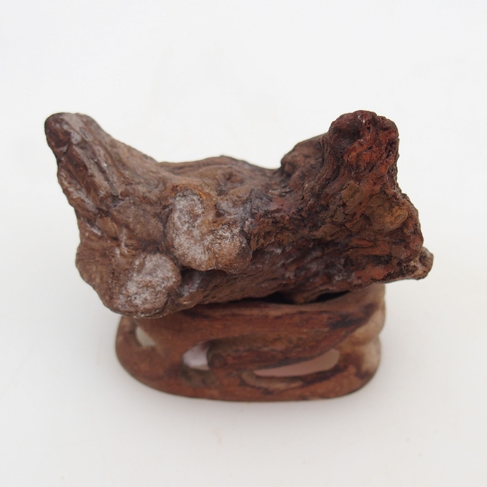 Suiseki - Stone with DAI (wooden pad)
