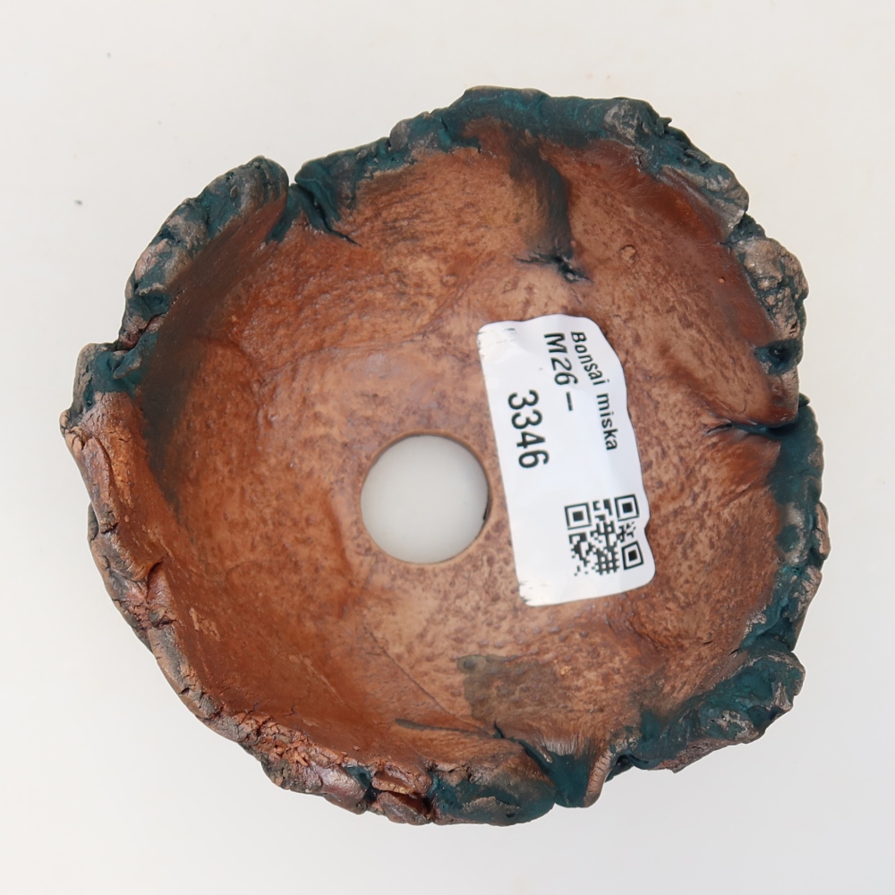 Ceramic Shell, 9 x 8 x 5.5 cm, green