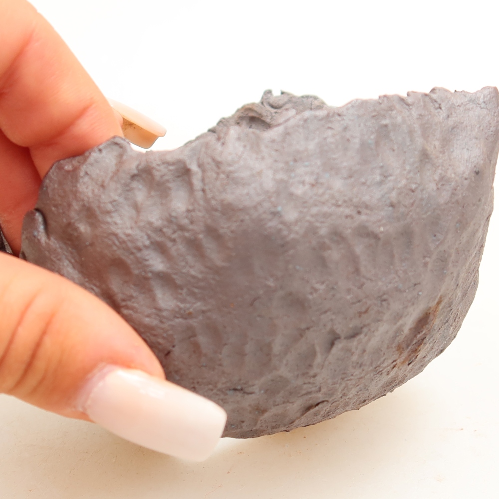 Ceramic Shell  10 x 9.5 x 7 cm, metallic color