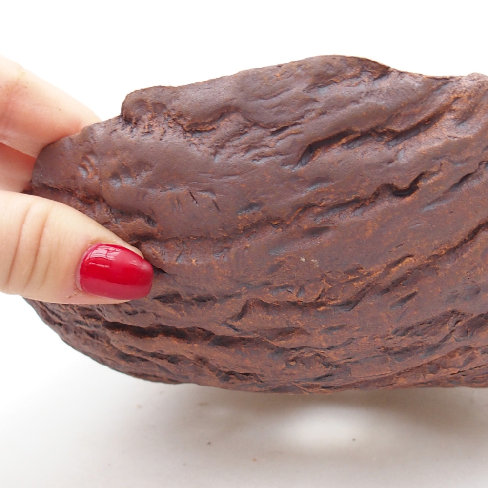 Ceramic Shell 19 x 19 x 6,5 cm , colour brown