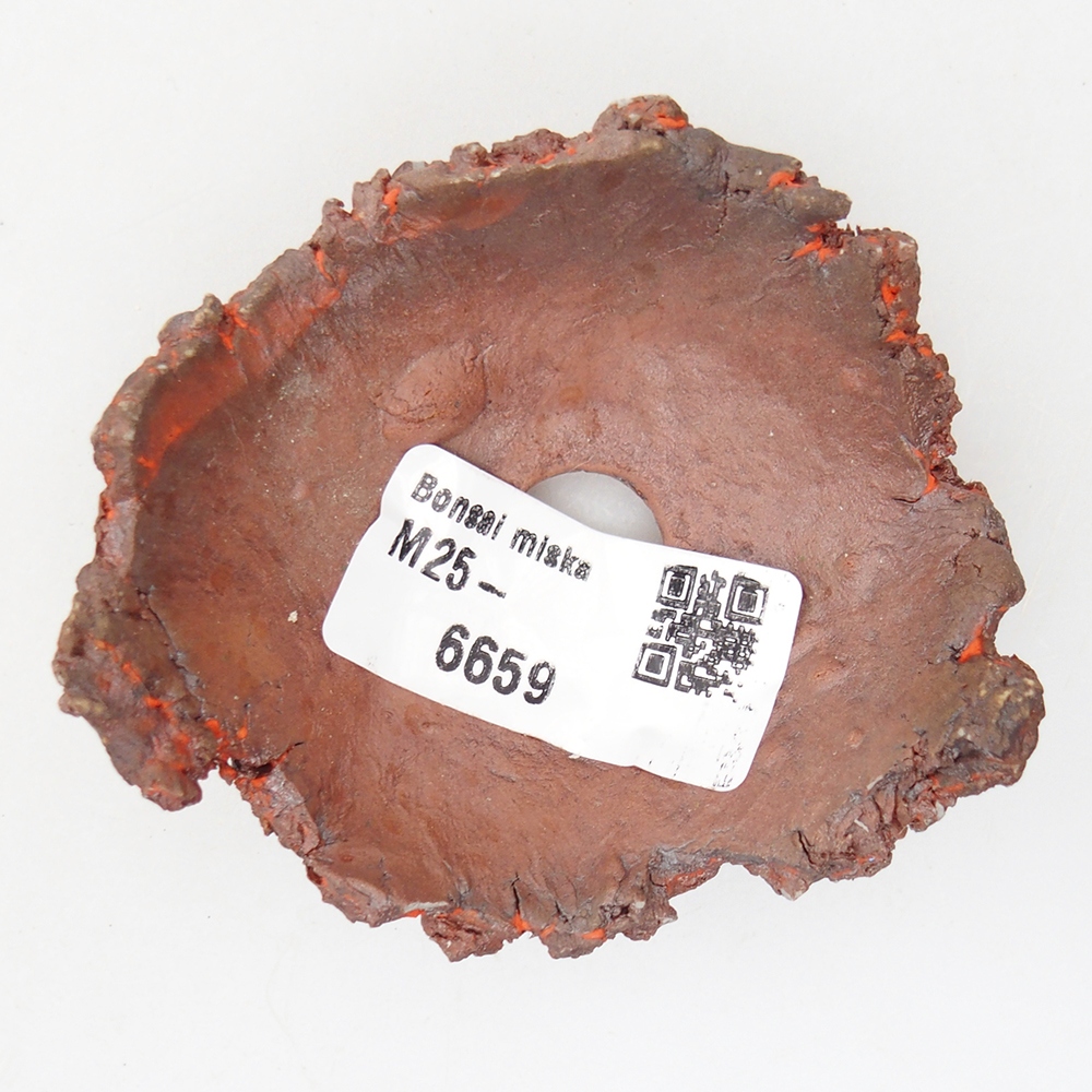 Ceramic Shell 7 x 7 x 3 cm , colour orange