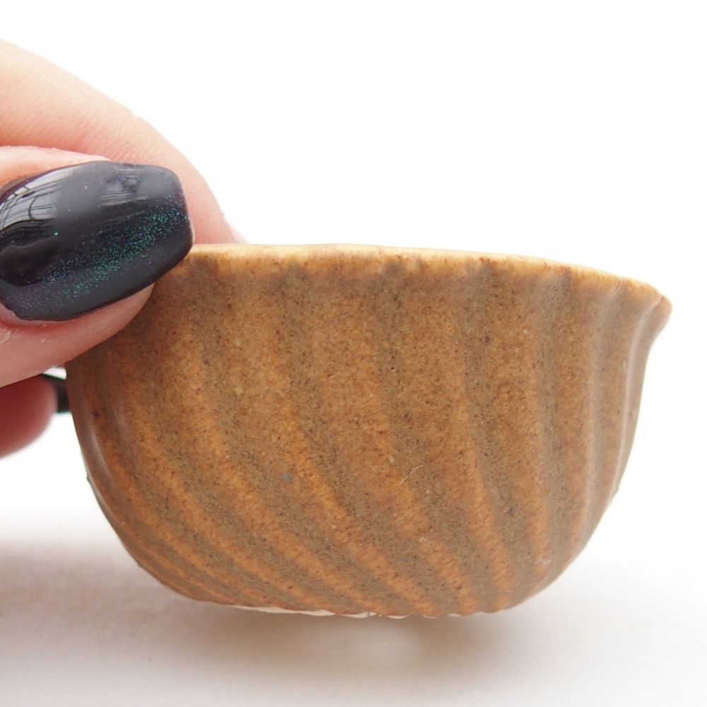 Mini bonsai bowl 5,5 x 5,5 x 3 cm, brown