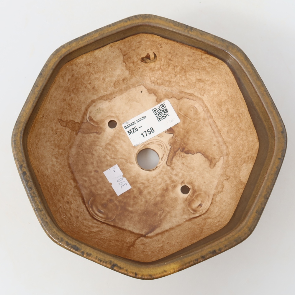 Ceramic bonsai pot, 17 x 16 x 6.5 cm, brown