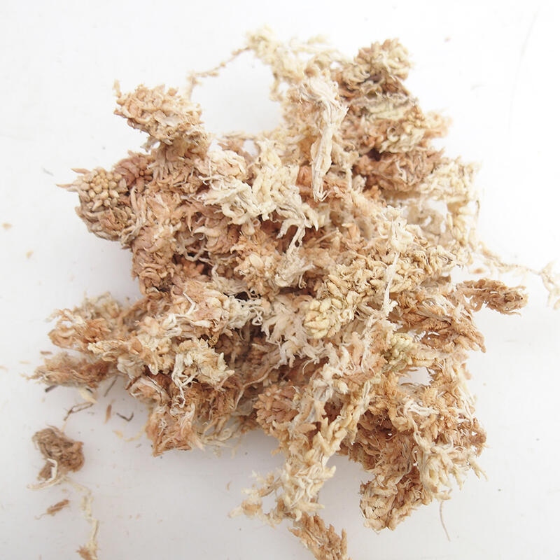 Sphagnum - peat moss 1 kg