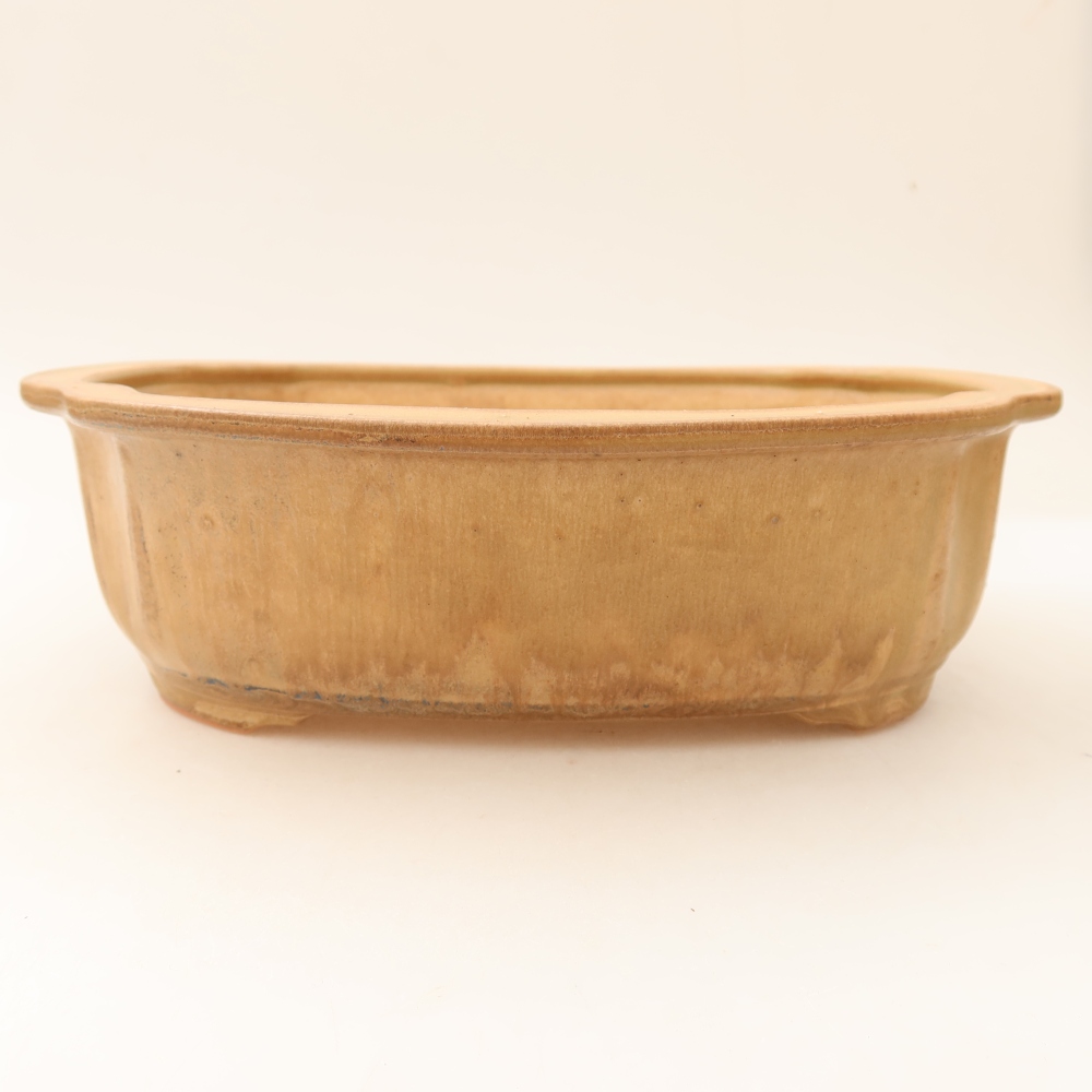 Ceramic bonsai pot, 24.5 x 21 x 7.5 cm, beige